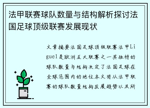 法甲联赛球队数量与结构解析探讨法国足球顶级联赛发展现状